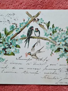 Carte postala, 1900