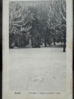 Carte postala, Arad, vedere din parc, perioada interbelica
