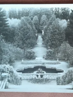 Carte postala Avrig, Parcul sanatoriului Brukenthal, perioada interbelica