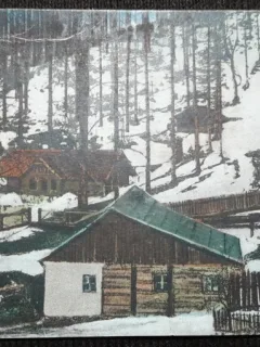 Carte postala, Baia de Borcut Maramures, 1926