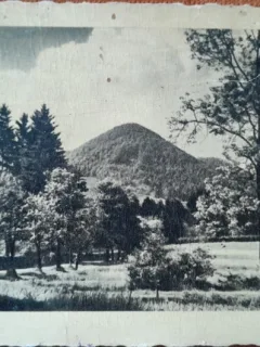Carte postala, Baia Mare, parc, inceput de secol XX