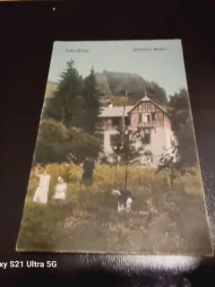 Carte Postala - Baia Mare - Sanatoriul Wagner