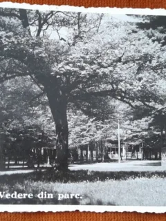 Carte postala, Baia Mare, vedere din parc, 1937