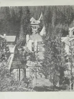 Carte postala, Baile Borsec, vedere generala, 1927