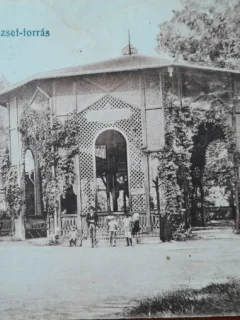 Carte postala, Baile Buzias, 1917