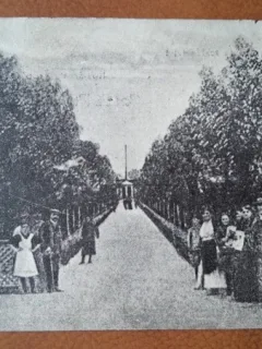 Carte postala, Baile Buzias promenada la scalda Otel, 1925