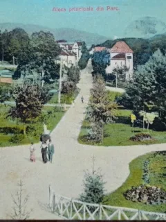 Carte postala, Baile Govora, aleea principala din parc, perioada interbelica
