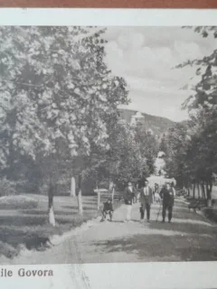 Carte postala, Baile Govora, aleie in parc, 1925