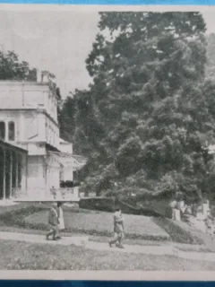 Carte Postala, Baile Herculane, In parc, 1951