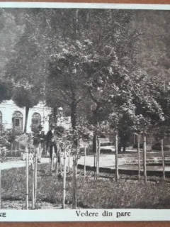Carte postala, Baile Herculane, vedere din parc, 1926