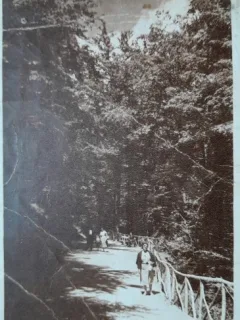 Carte postala, Baile Olanesti, Valcea, defileul, 1945