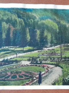 Carte postala, Baile Slanic Moldova, aleile principale ale parculi, 1936