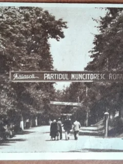 Carte postala, Bazna, parcul orasului, 1952