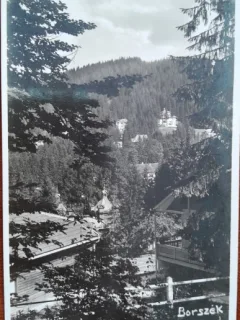 Carte postala, Borsec, vedere generala, 1942