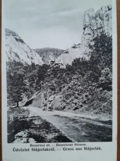 Carte postala, Bozovici, Caras Severin, perioada interbelica