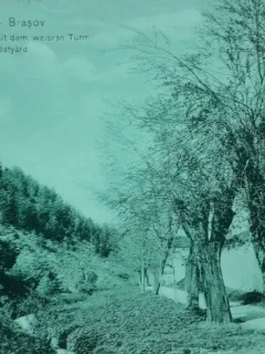 Carte postala, Brasov, 1925