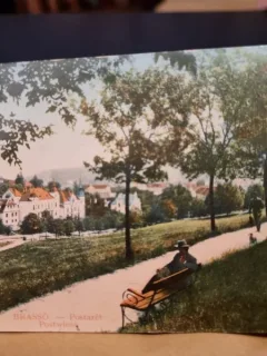Carte Postala - Brasov. Postwiese