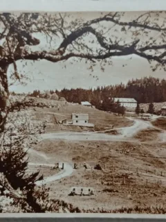 Carte Postala, Brasov, vedere din Poiana Brasovului, 1948