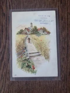 Carte Postala - Bucuresti. Ilustratie