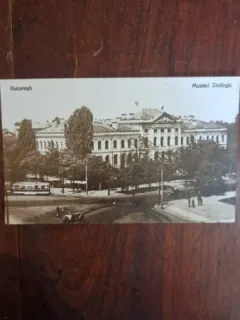 Carte Postala - Bucuresti. Muzeul Zoologic