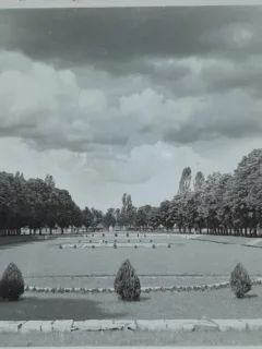 Carte postala, Bucuresti, priveliste din Gradina Botanica, perioada interbelica