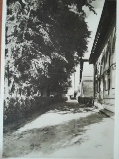 Carte postala, Bucuresti Scoala Centrala de Fete, fatada dinspre gradina, perioada interbelica