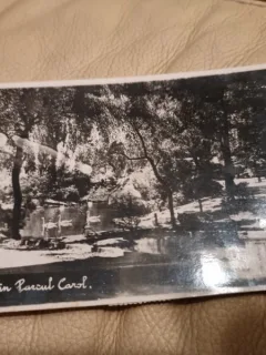 Carte Postala - Bucuresti. Vedere din Parcul Carol