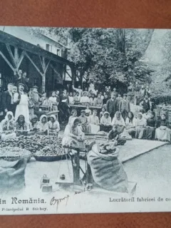 Carte postala, Buftea, lucratorii fabricii de conserve alimentare, inceput de secol XX