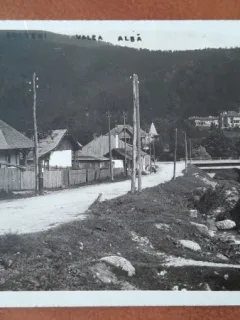 Carte postala, Busteni Valea Alba, inceput de secol XX