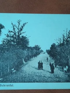 Carte postala, Buzau bulevardul, inceput de secol XX