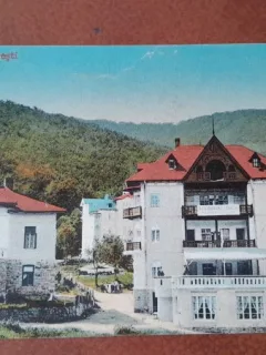 Carte postala, Calimanesti, Hotelul Seltea, perioada interbelica