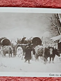 Carte postala, Car cu boi in zapada/Th. Aman