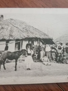 Carte Postala - Casa la tara