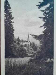 Carte postala, Castelul Peles, 1924