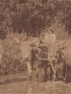 Carte postala circulata din anul 1915