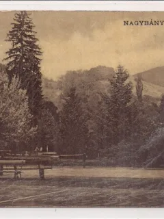 Carte postala circulata din perioada interbelica baia Mare