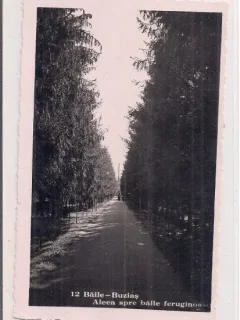 Carte postala circulata in 2 august 1942