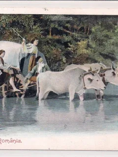 Carte postala circulata in anul 1902 - Salutari din Romania