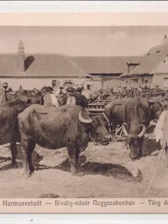 Carte postala circulata in anul 1916 Sibiu