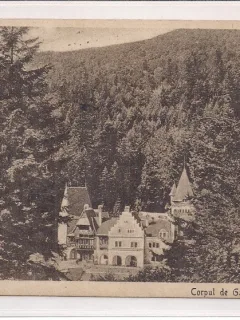 Carte postala circulata in anul 1919 Sinaia