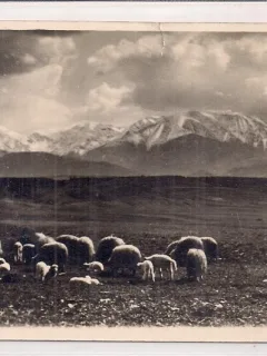 Carte postala circulata  in anul 1933