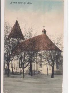 Carte postala circulata Saliste