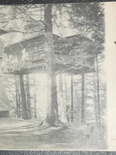Carte postala, circulata, Sinaia Cuibul Princesei, 1909
