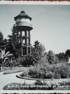Carte postala, Cluj, Gradina Botanica, 1937