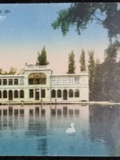 Carte Postala, Cluj Napoca, Piata pietonala, 1919