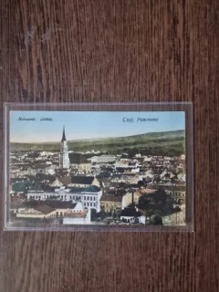 Carte Postala - Cluj. Panorama