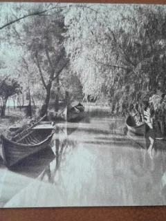 Carte postala, Delta Dunarii, perioada interbelica