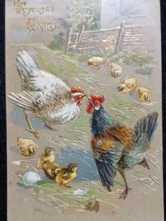 Carte Postala, Doi cocosi care se lupta, 1909