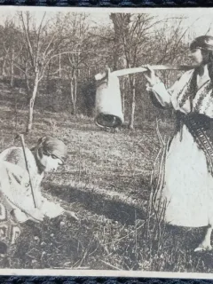Carte Postala, Doua tinere in costume populare, la munca in livada, 1918