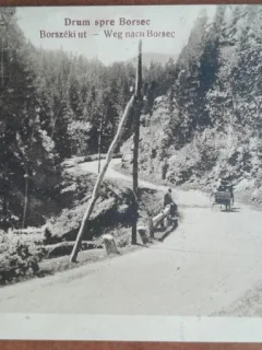 Carte postala, Drum spre Borsec, 1929